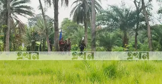 সাতক্ষীরা সীমান্তে চোরাচালান প্রতিরোধে বিজিবির গুলি, পালাল দুই ভারতীয়